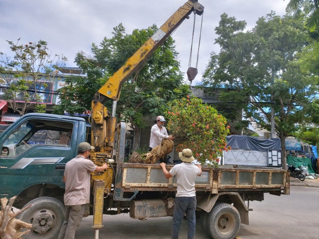 Dịch vụ cho thuê xe cẩu Sỹ Giáp